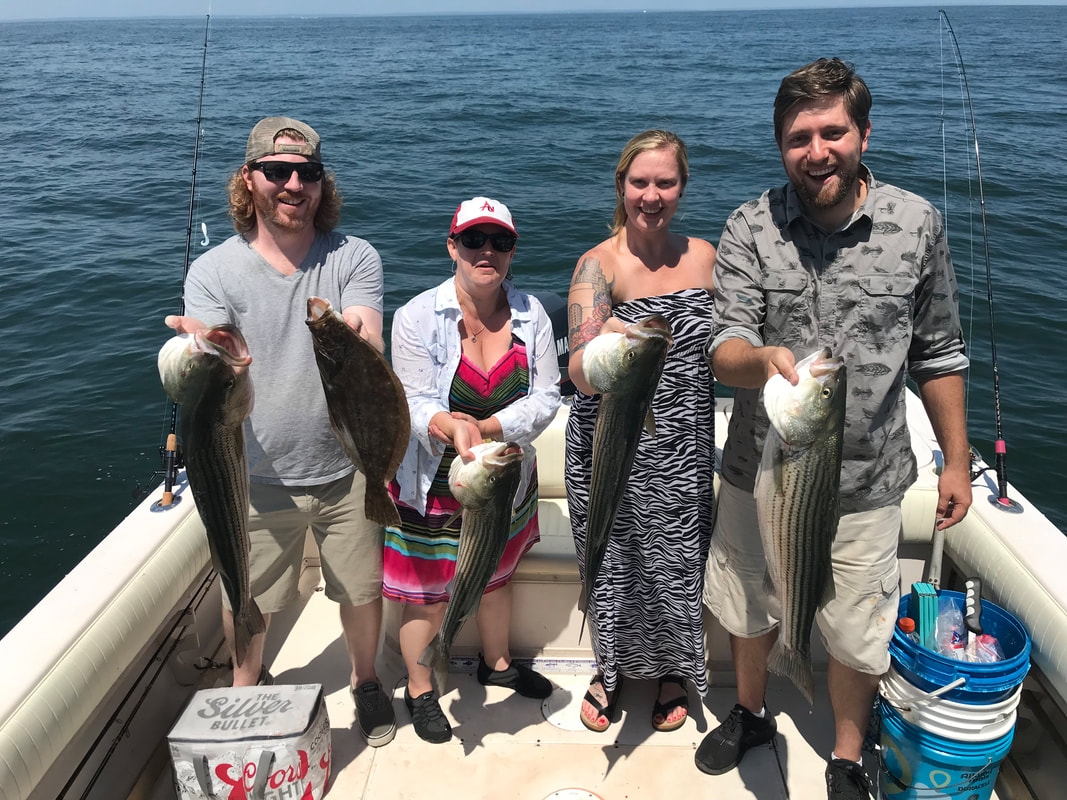 Striped bass caught on a half-day mixed bag trip