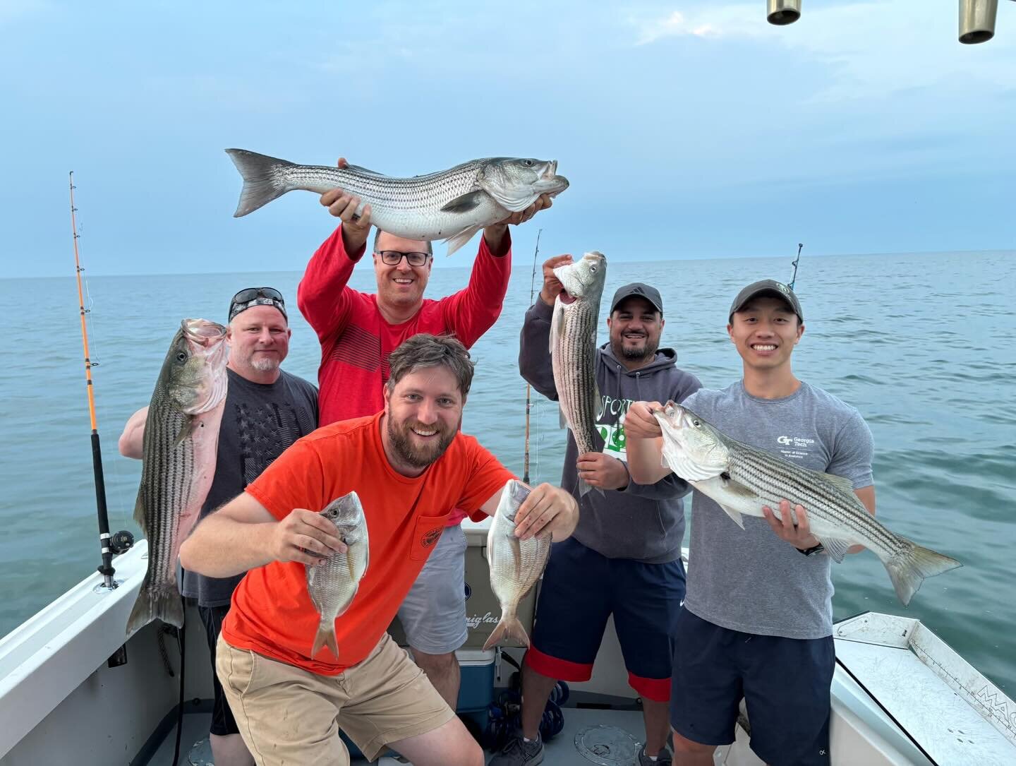 Group of anglers holding trophy striped bass and porgies caught off Mount Sinai